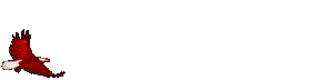 anieagle.gif (23188 octets)