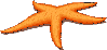 starfish.gif (4212 octets)