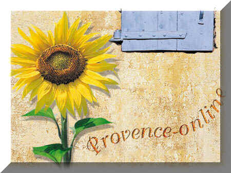 tournesol.jpg (52669 octets)
